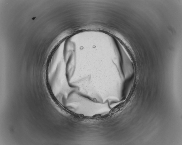 X0000113121237200909251106