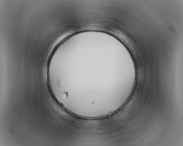 X0000113121238200909251106