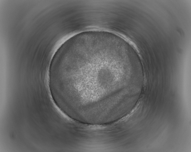 X0000113121239200909251106