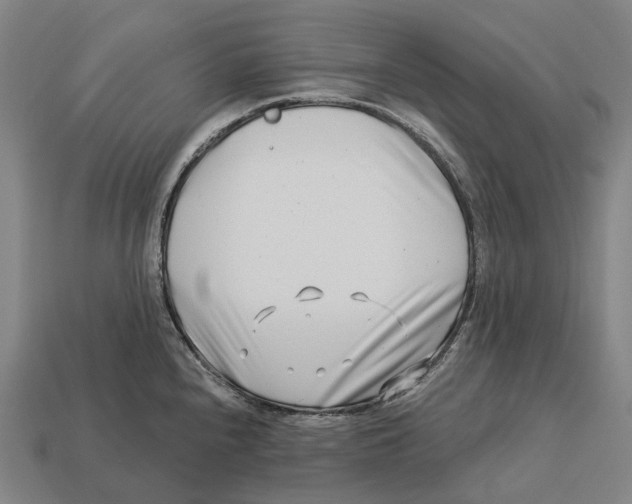 X0000113121240200909251106