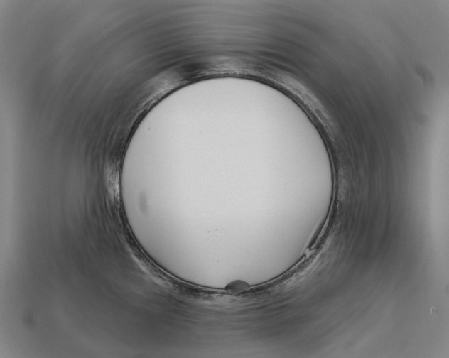 X0000113121241200909251106