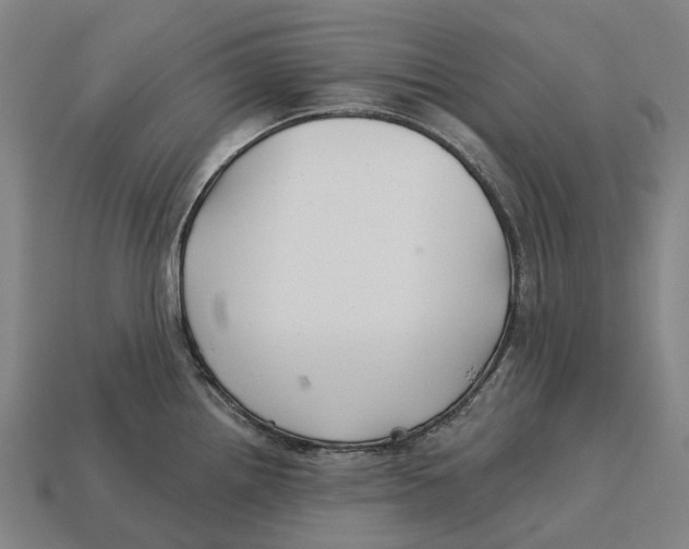 X0000113121242200909251106