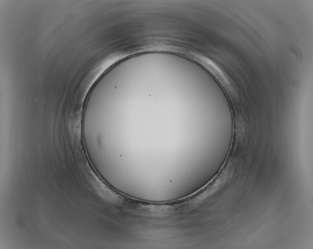 X0000113121244200909251106