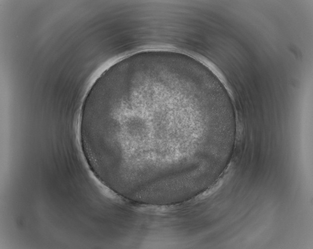 X0000113121245200909251106