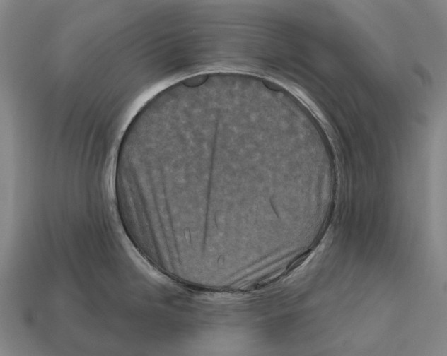 X0000113121246200909251106