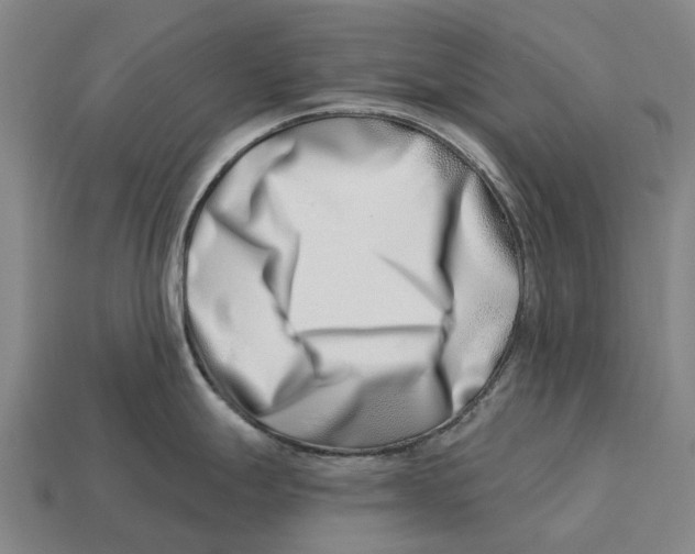 X0000113121247200909251106