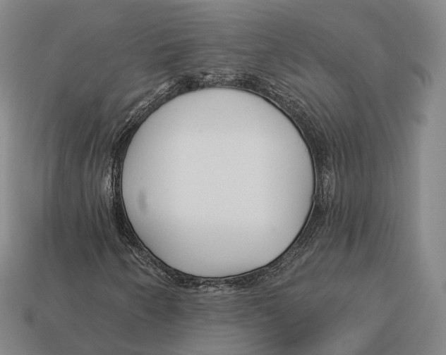 X0000113121250200909251105