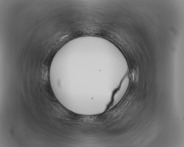 X0000113121251200909251105