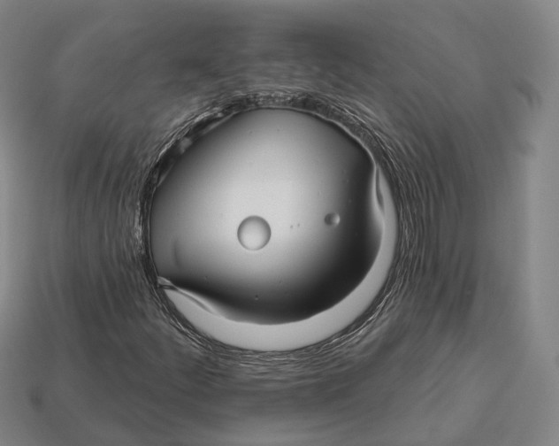 X0000113121252200909251105