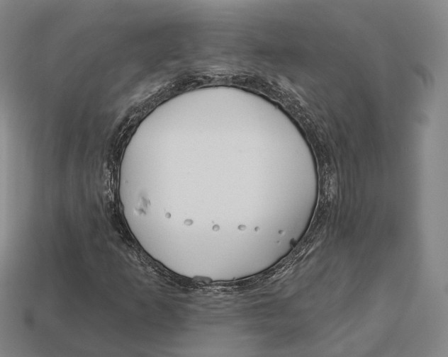 X0000113121253200909251105