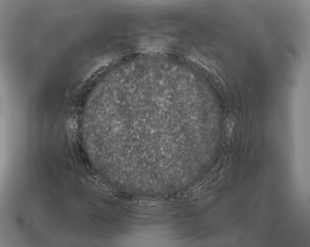 X0000113121254200909251105
