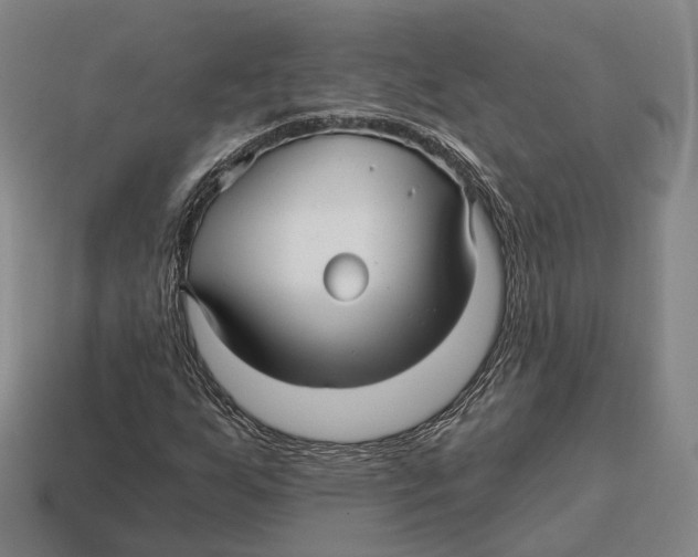 X0000113121255200909251105