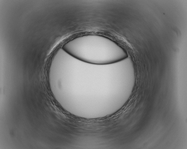 X0000113121256200909251105