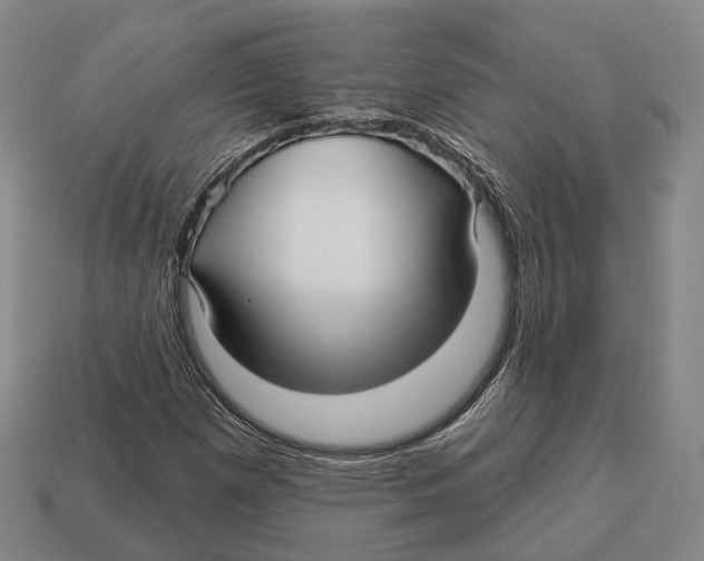X0000113121257200909251105