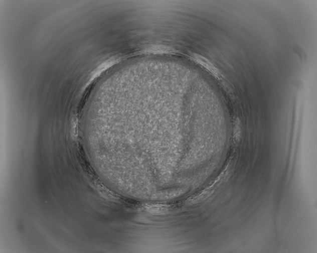 X0000113121258200909251105