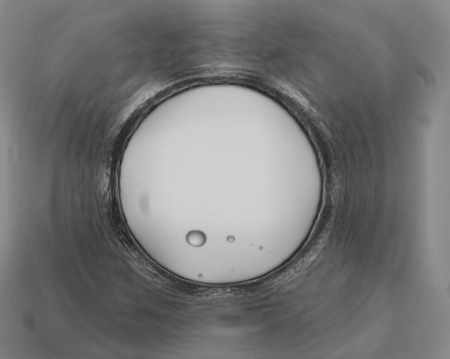 X0000113121259200909251105