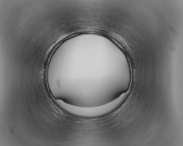 X0000113121260200909251105