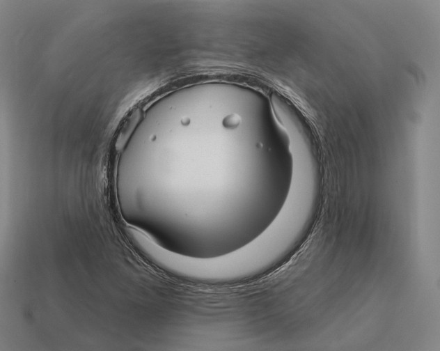 X0000113121261200909251105