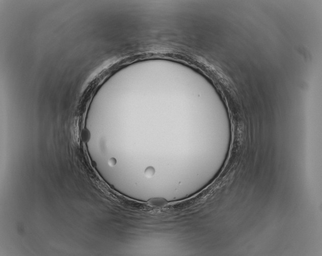 X0000113121262200909251105
