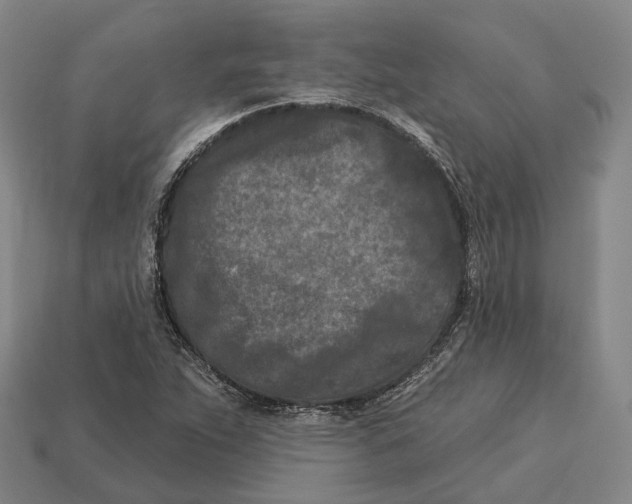 X0000113121263200909251105