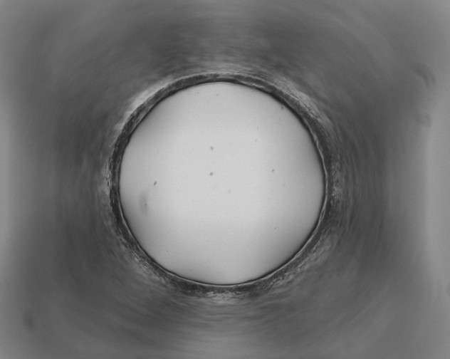 X0000113121264200909251105