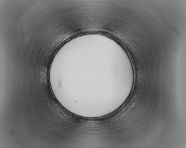 X0000113121265200909251105