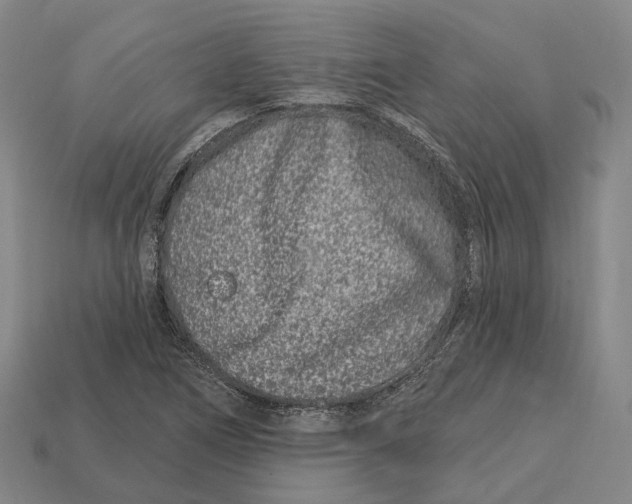 X0000113121266200909251105
