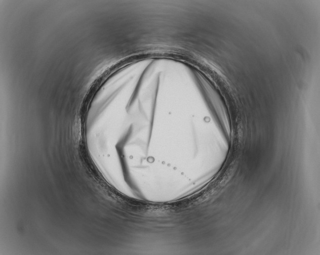 X0000113121267200909251105