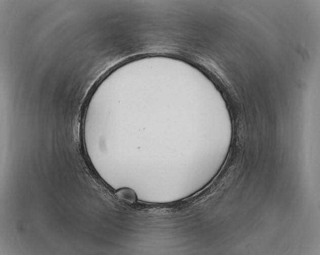 X0000113121268200909251105