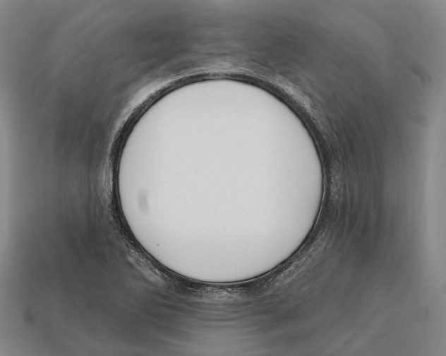 X0000113121270200909251105