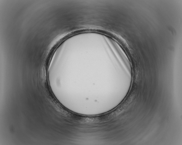 X0000113121271200909251105