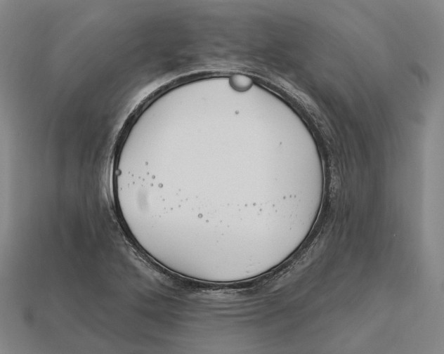 X0000113121272200909251105