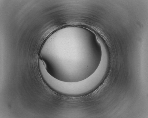 X0000113121273200909251105