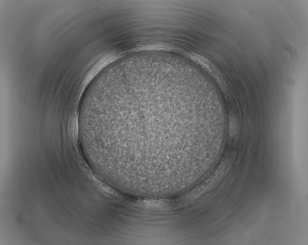 X0000113121274200909251105