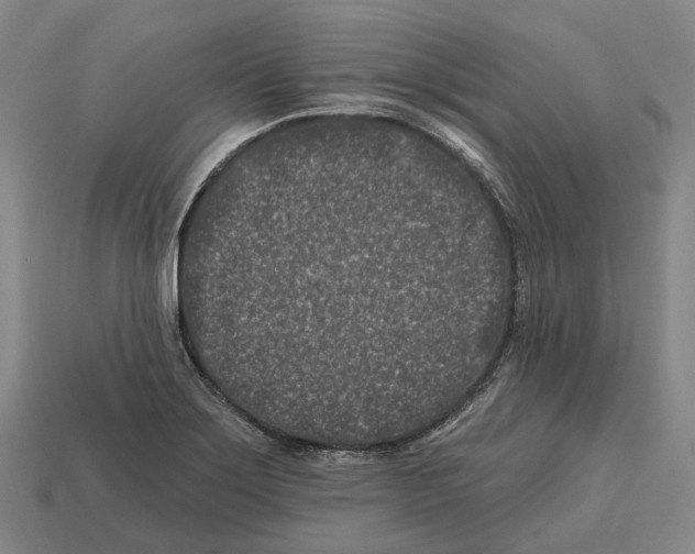 X0000113121275200909251105