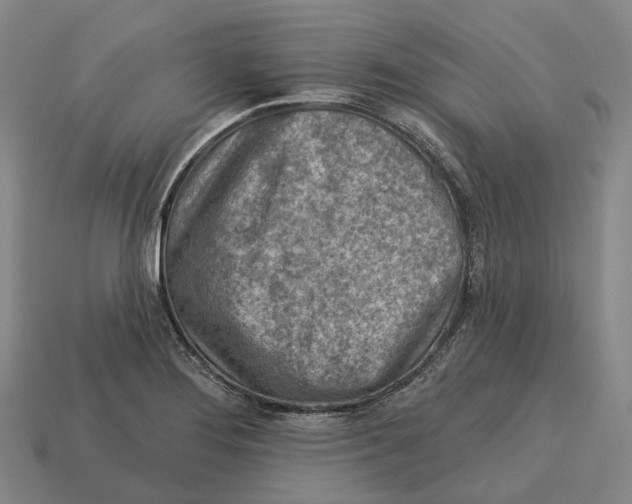 X0000113121276200909251105