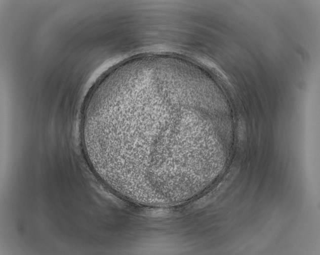 X0000113121278200909251105