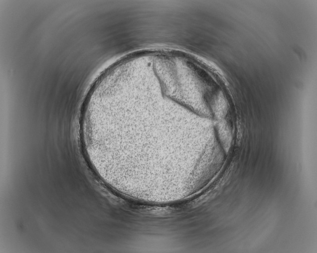 X0000113121279200909251105
