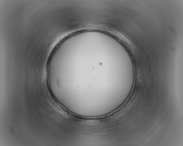 X0000113121280200909251105