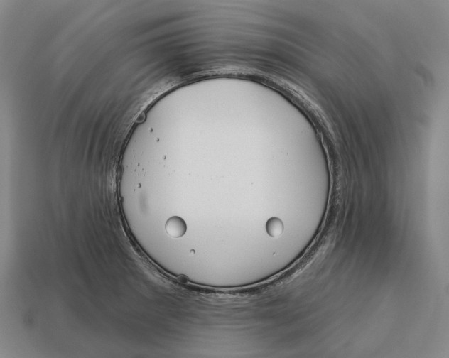 X0000113121281200909251105