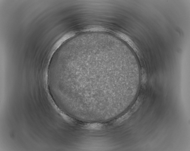 X0000113121282200909251105