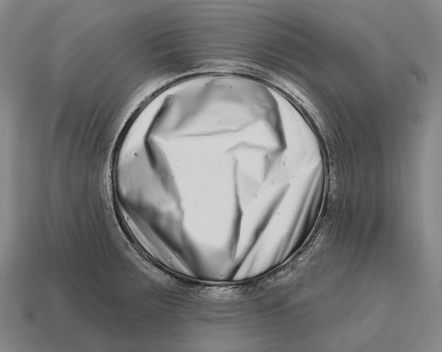 X0000113121283200909251105