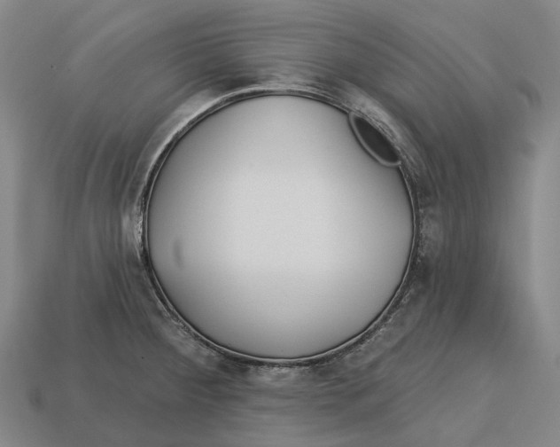 X0000113121284200909251105