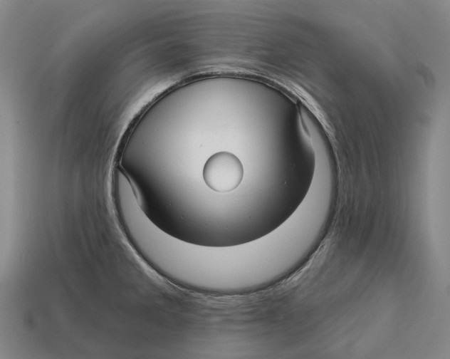 X0000113121285200909251105