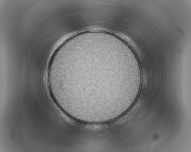X0000113121286200909251105