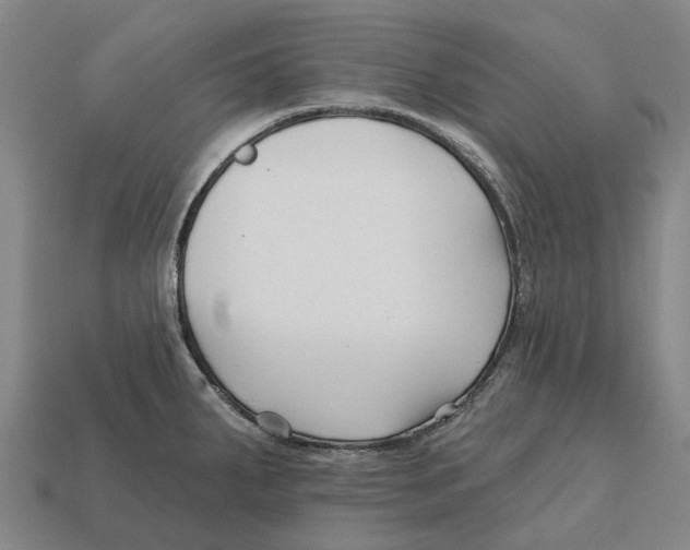 X0000113121287200909251105