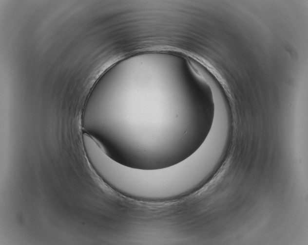X0000113121289200909251105