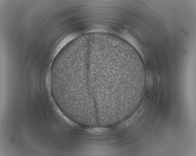 X0000113121290200909251105