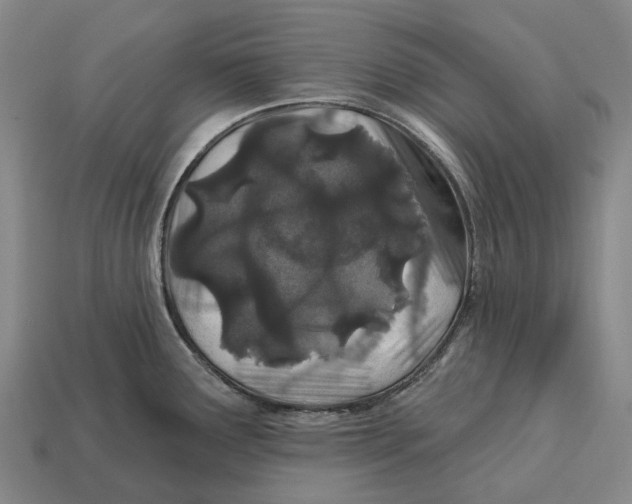 X0000113121291200909251105