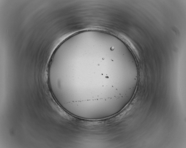 X0000113121292200909251105